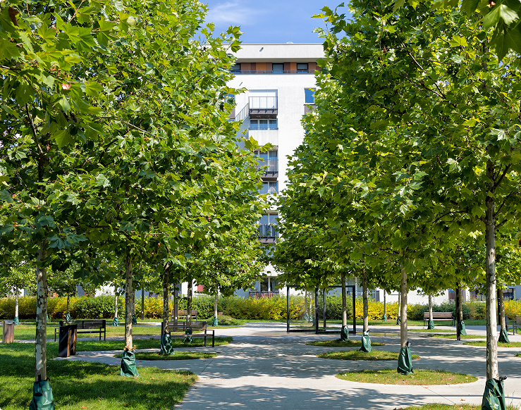 Sustainability - CFS Group